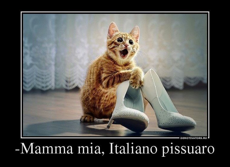 Александр Качан Юрьевич | Пинск