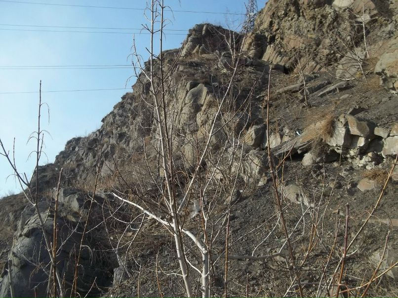 Назгул Дрейкос | Кемерово