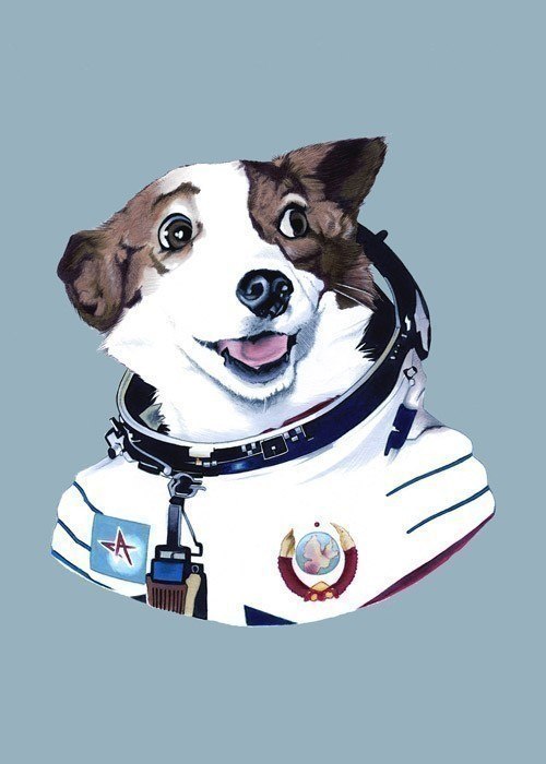 Константин Бурчаков ૐ | Симферополь