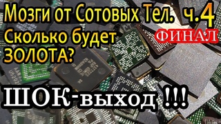 Мозги от сотовых Тел. Финал. Шок выход
