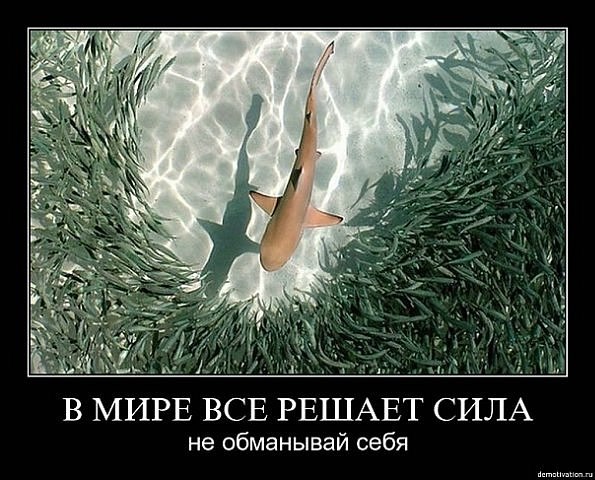 Татьяна Хайрала ღ♥ღ | Одесса