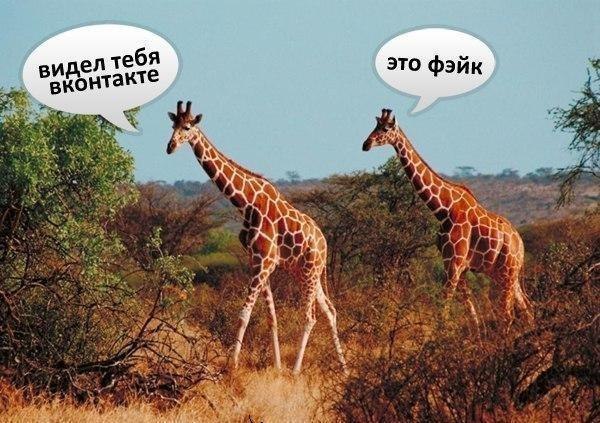 Arthur Gorelikoff | London