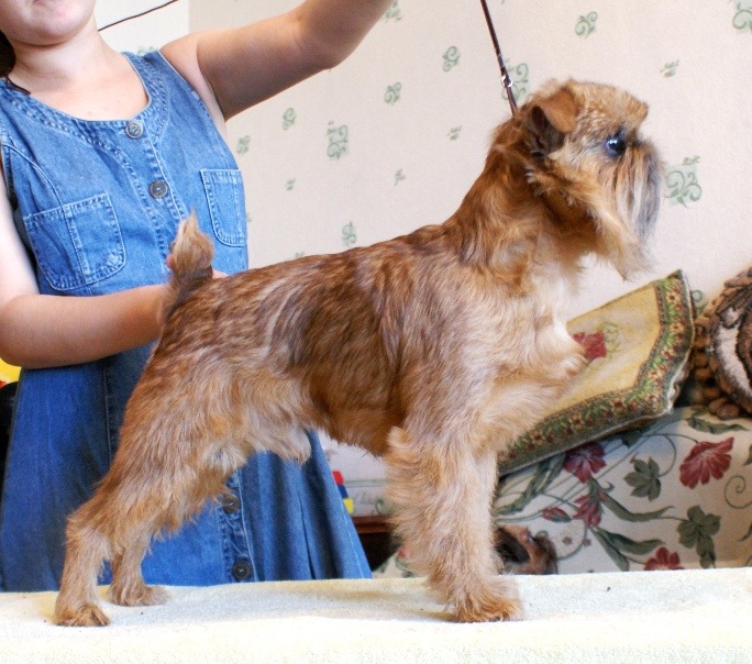 №104, Кристина Чистопольская №104, Кристина Чистопольская