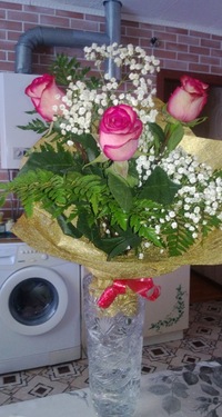 Елена Семенюк