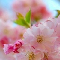Валентина Жаворонкова