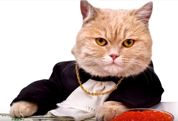 Mark Sova, Россия, Санкт-Петербург