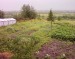 Михаил Шалапугин фотография #20