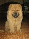 Фотография Сергей Корсунов