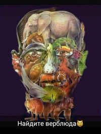 Вова Королёв