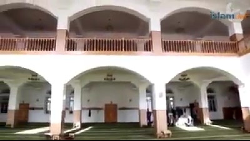 Видео от Хама