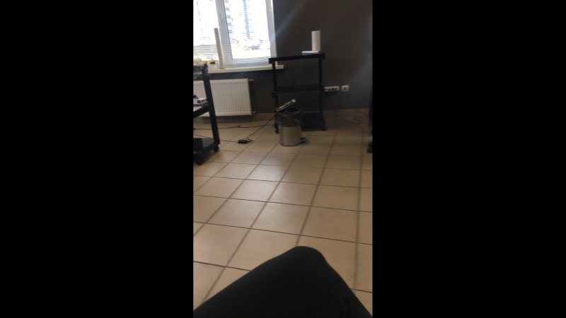 День Льва в Twins, мастера Ира и