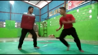 Teknik Serangan Pencak Silat