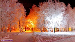 Relaxing Winter Music | Gentle Snowfall | Sleep, Relax, Study, Meditation