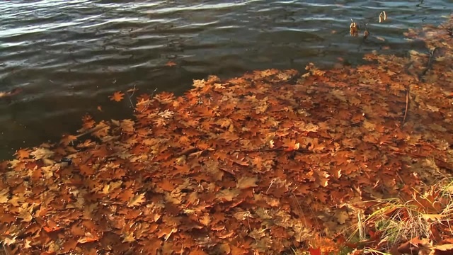 Der Bunte Herbst