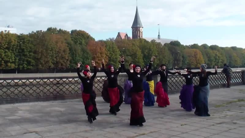 ATS Flash Mob 2015 Kaliningrad, Russia. Amber Tribe Studio Magenta