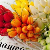 Наталья Липская