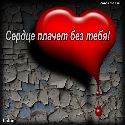 №80, Самер Альрифаи, Днепр (Днепропетровск) №80, Самер Альрифаи, Днепр (Днепропетровск)