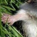 №80, Галина Павлова, Константиновка №80, Галина Павлова, Константиновка