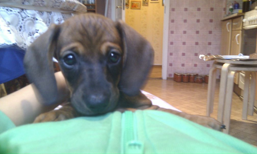 №39, Svetlanka Pashkova, 35 лет, Санкт-Петербург №39, Svetlanka Pashkova, 35 лет, Санкт-Петербург