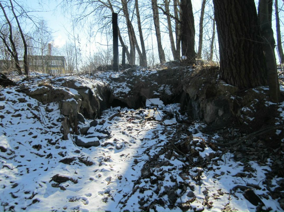 Димон Медведев kina | 