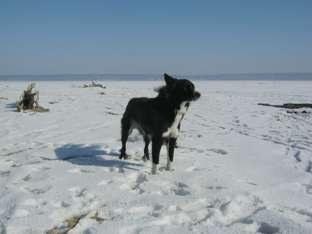 Алёна Кулаковская | Москва