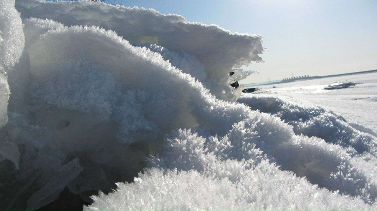 Любовь Алексеева Борисовна | Санкт-Петербург