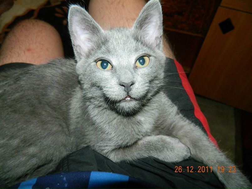 №13, Елена Репина, 19 лет, Кременчуг №13, Елена Репина, 19 лет, Кременчуг