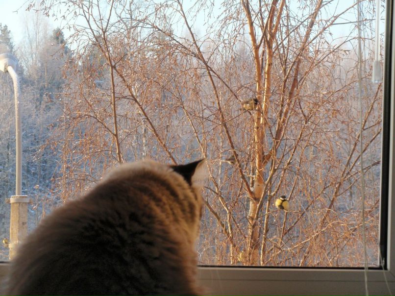 Татьяна Манахова | 