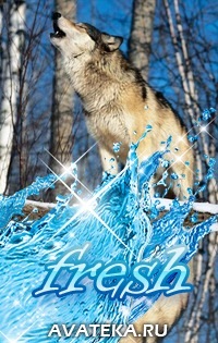 №17, Алина Русанова, Новокузнецк №17, Алина Русанова, Новокузнецк