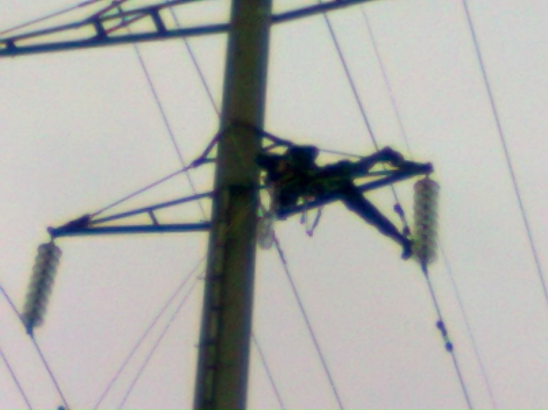 Виктор Граф | Кострома