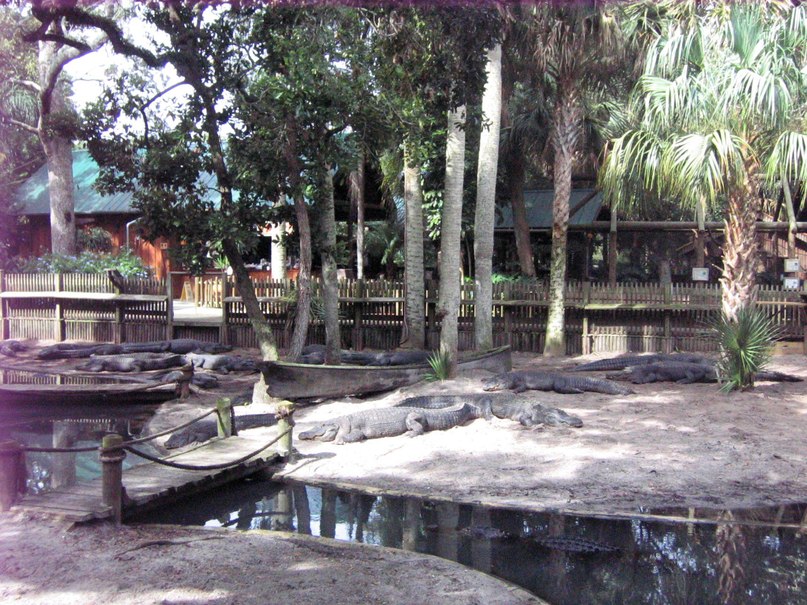 Владимир Польшаков | Одесса