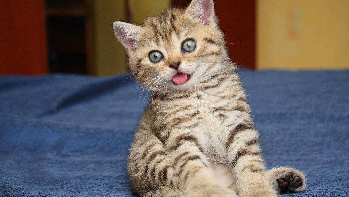 Алевтина Русакова | Москва