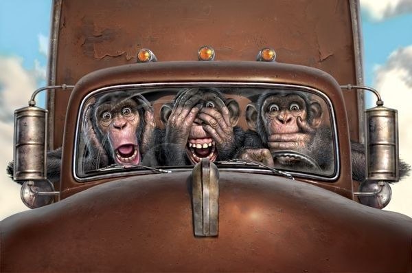 Елена Соловьева | Новосибирск