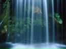 Фотография Лилит Селена