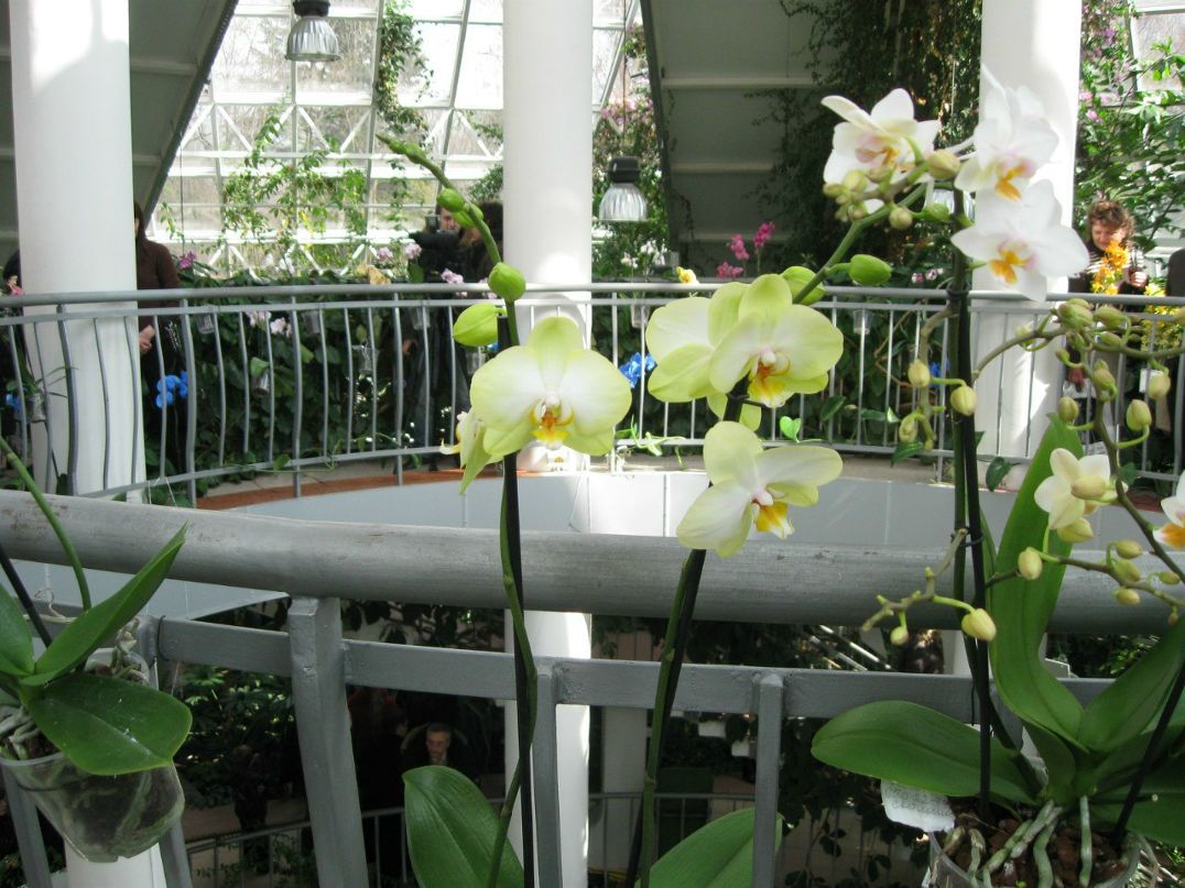 Катерина Лаппо | Минск