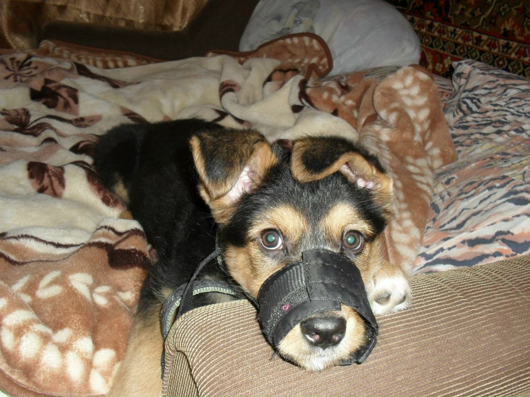 Виталия Кононова | Видное