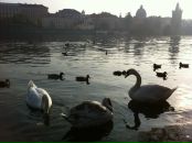 №2, Марина Семенчук, 3.11, Мелеуз, Россия