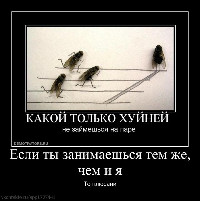 Васиф Мовсумзаде | Magdeburg