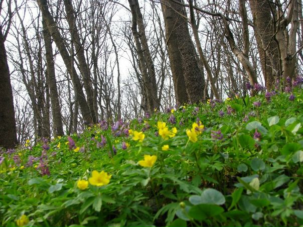 №83, Егор Левада, Киев №83, Егор Левада, Киев