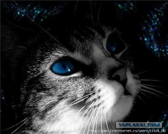 №41, Максим Гурьянов, 29 лет №41, Максим Гурьянов, 29 лет