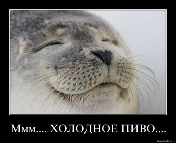 Даня Рамазанов | Казань