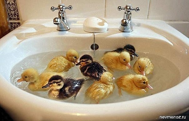 №74, Александра Румянцева №74, Александра Румянцева