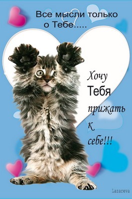 №6, Марія Степанюк №6, Марія Степанюк