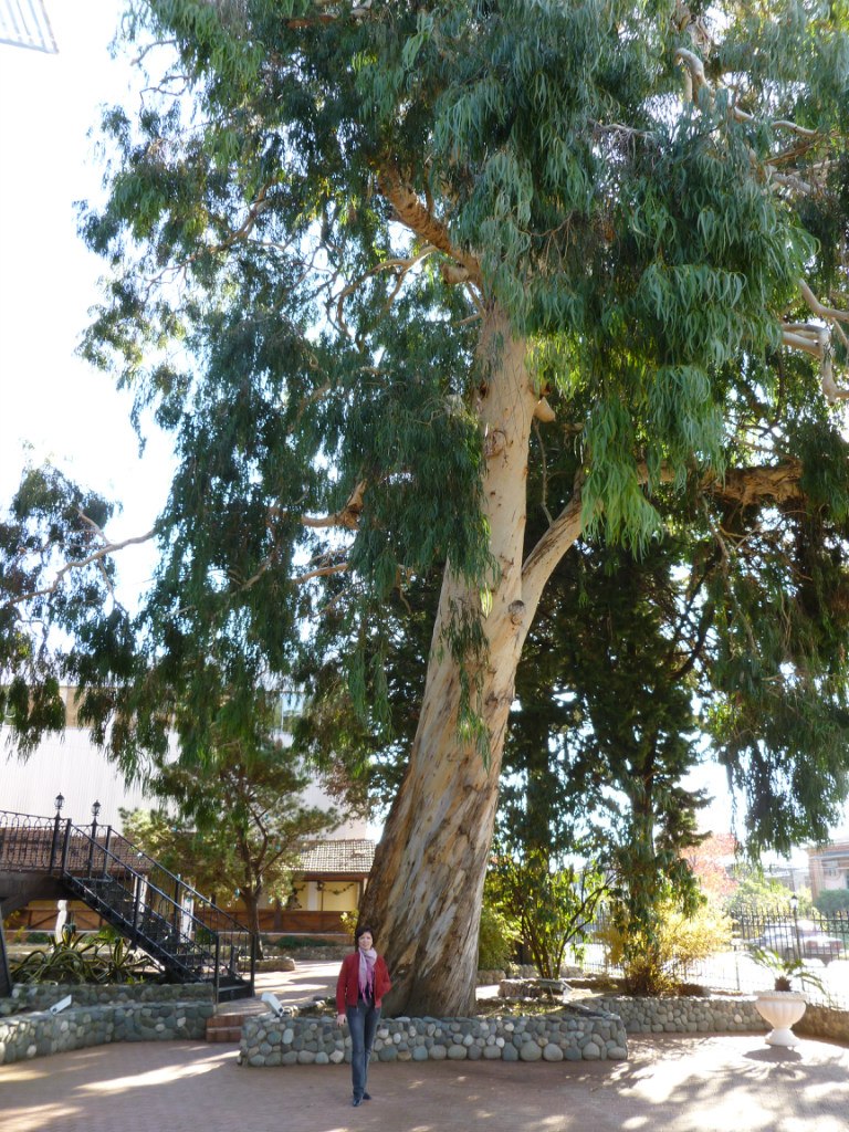 Марина Зиганшина | Армавир