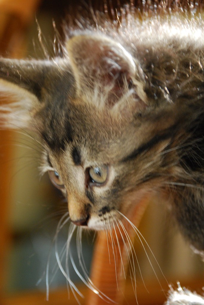 Ольга Лёвкина | Белгород