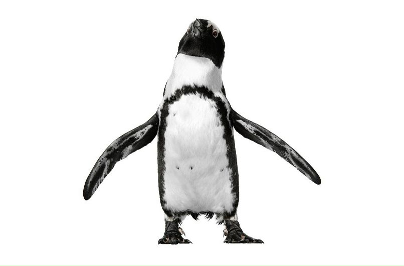 Буду Твоим-Чудом | 