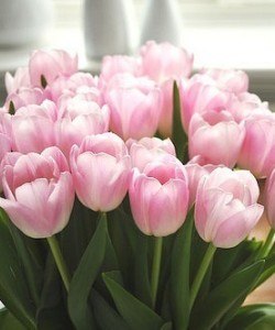 Олеся Дели ღ♥ღ | Костанай