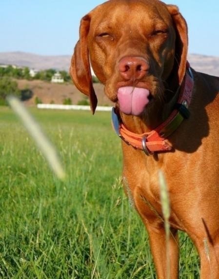 №177, Дашик Гоголева, 36 лет, Мурманск №177, Дашик Гоголева, 36 лет, Мурманск