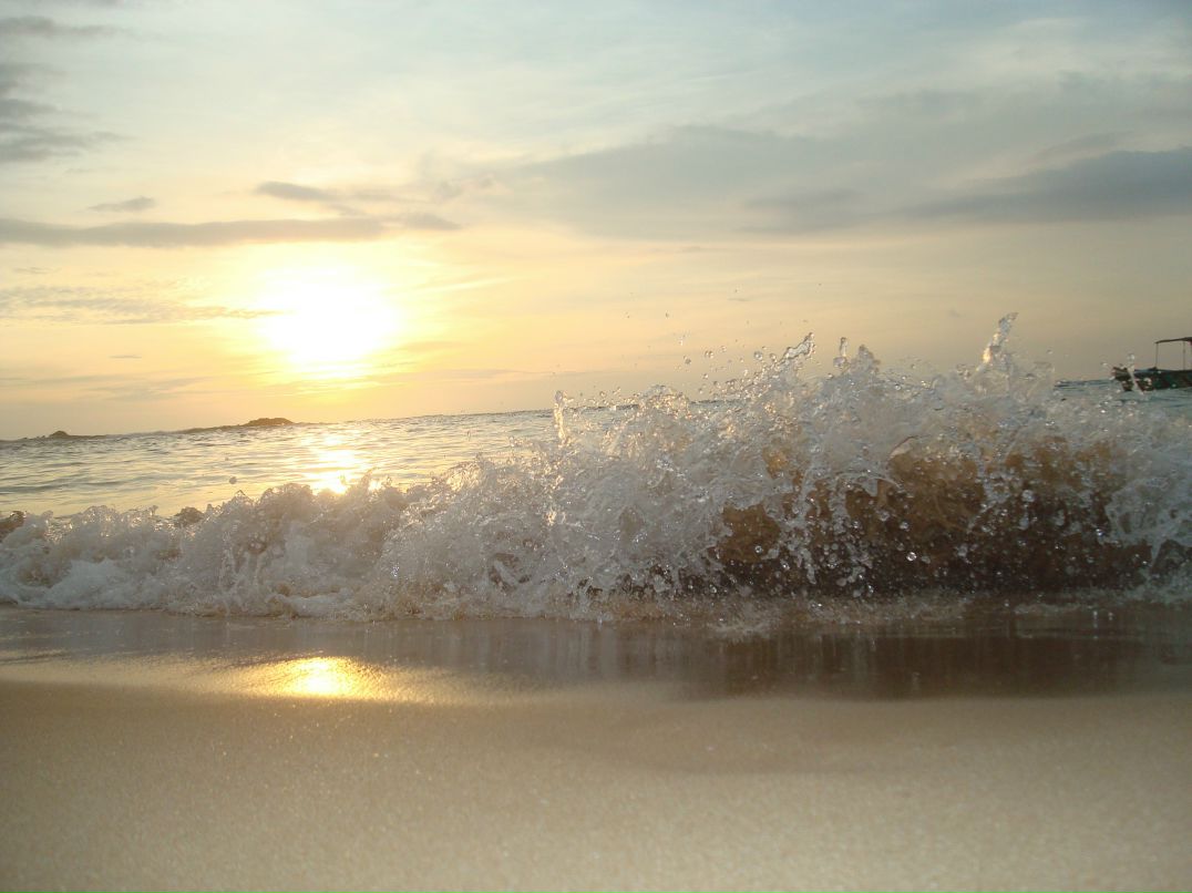 Юлия Удод | Киев