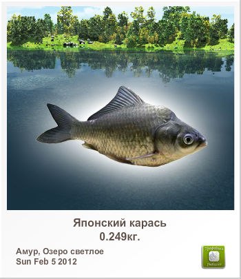 Виталик Цегельний | Васильков